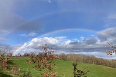 Regenboog